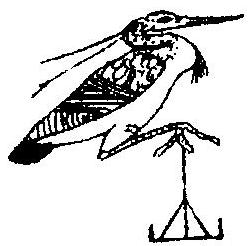 A line engraving of the Bennu bird reproduced from an ancient Egyptian Book of the Dead vignette, published by Egyptologist E. A. Wallis Budge in 1895.